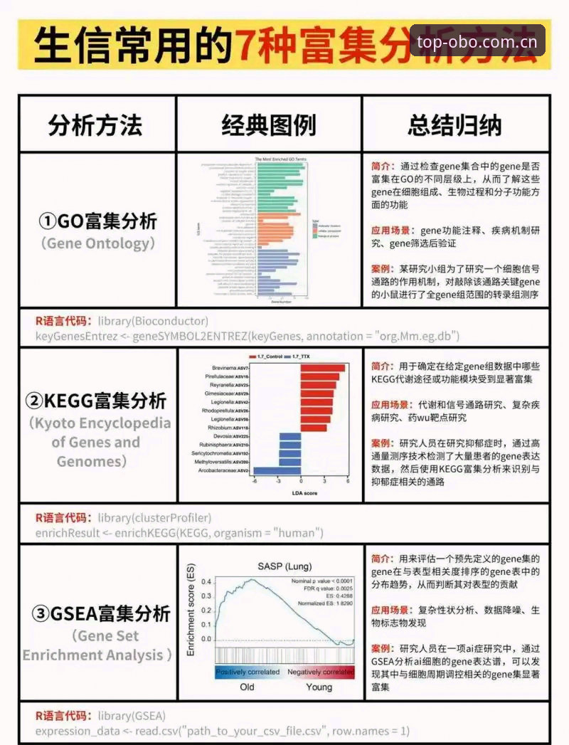 深度揭秘：OBO娱乐场推荐背后的数据真相与用户实测分析