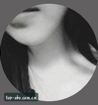 王蕾